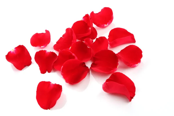 stock image Red rose petals