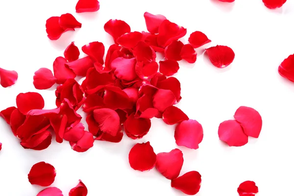 Red rose petals — Stock Photo, Image