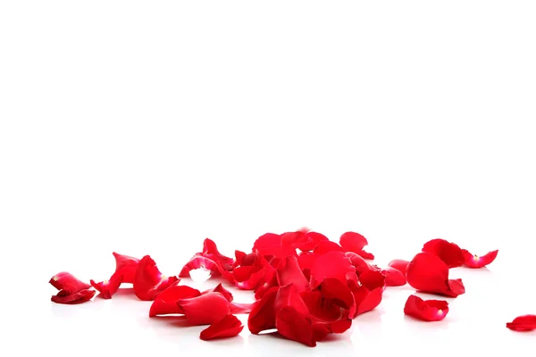 Czerwone płatki róż — Zdjęcie stockowe