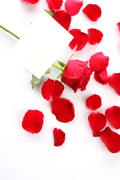 Belo coração de pétalas de rosa vermelha com papel em branco — Fotografia de Stock