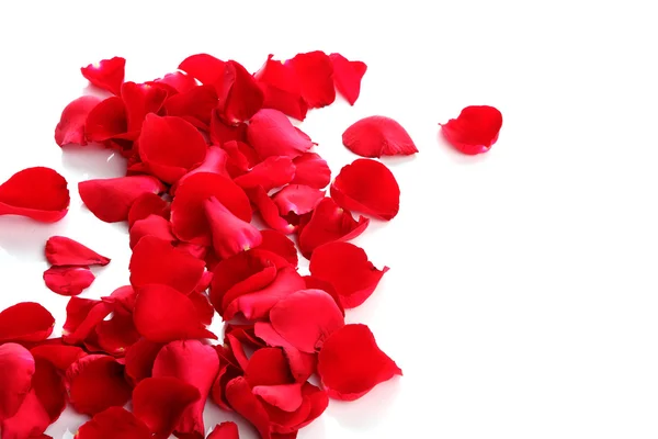 Röda rosenblad — Stockfoto