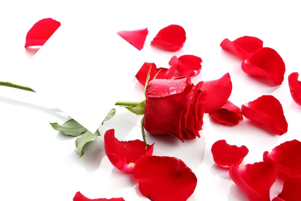 空白の紙と赤のバラの花びらの美しい心 — ストック写真