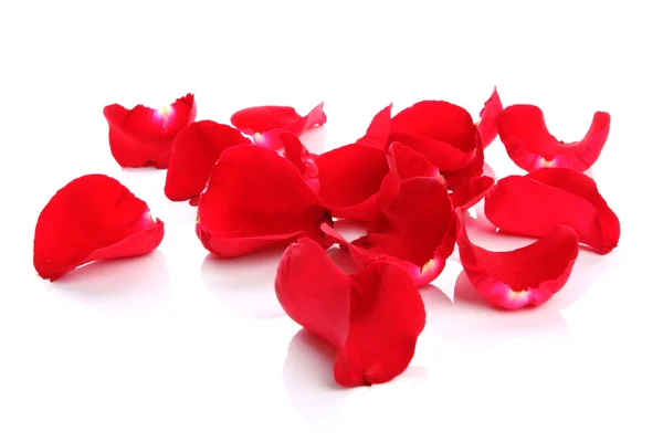 Red rose petals Stock Photo