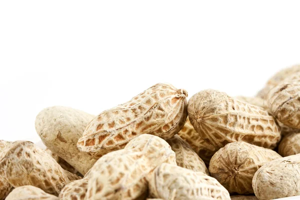 Peanut in shelled — Stock Photo, Image