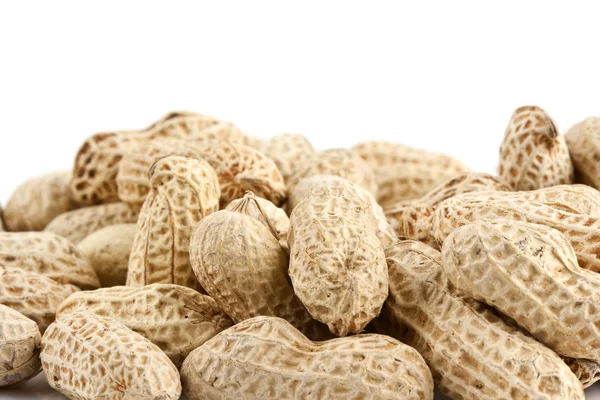 Peanut in shelled — Stock Photo, Image