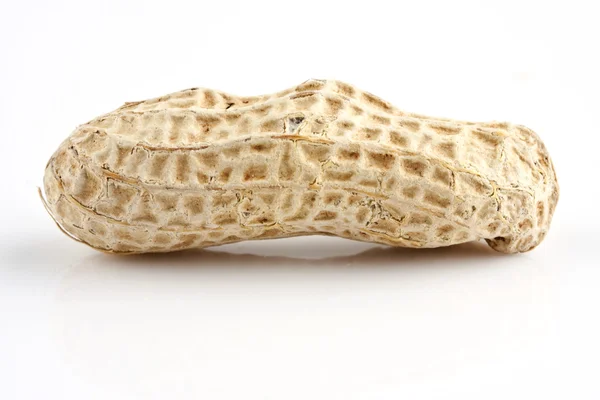 Peanut Closeup — Stock Photo, Image