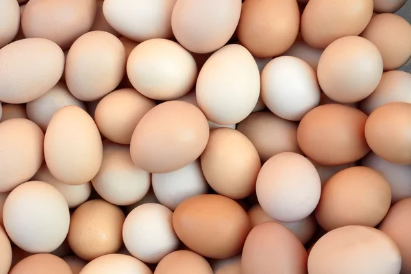 stock image Heap of chicken eggs