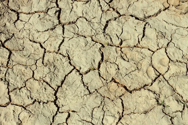 Grietas en el suelo seco — Foto de Stock