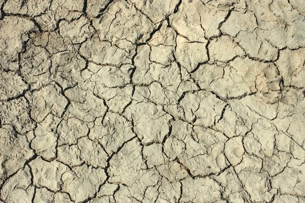 Grietas en el suelo seco — Foto de Stock