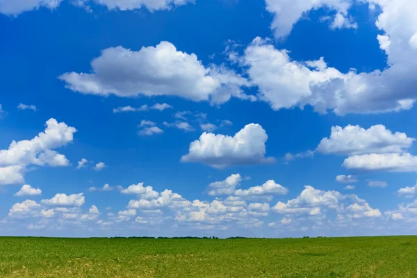 stock image Cloudscape over green field