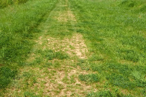 stock image Fragment of old rural dirt road