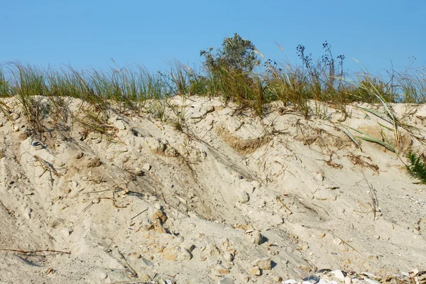 stock image Wild sandy beach with grass