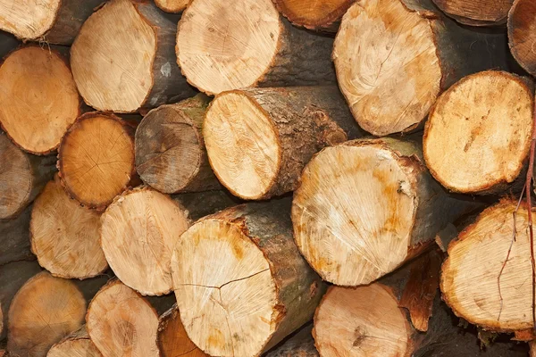 Gesneden houten logboeken — Stockfoto