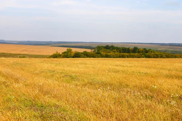 Landsbygd höst landskap — Stockfoto