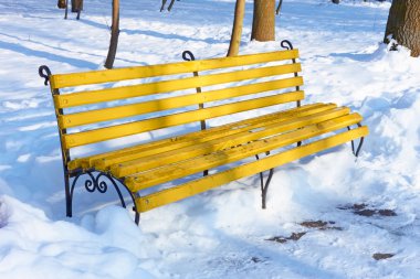 Yellow bench in winter park clipart
