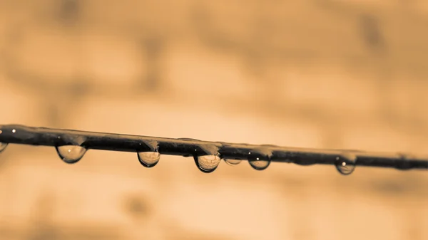 Draht mit Wassertropfen — Stockfoto