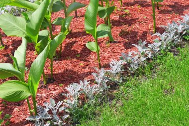 Detail of flowerbeds clipart