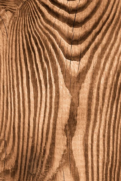 Дерев'яна дошка. Сепія — стокове фото