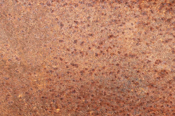 Hoja de hierro oxidado — Foto de Stock