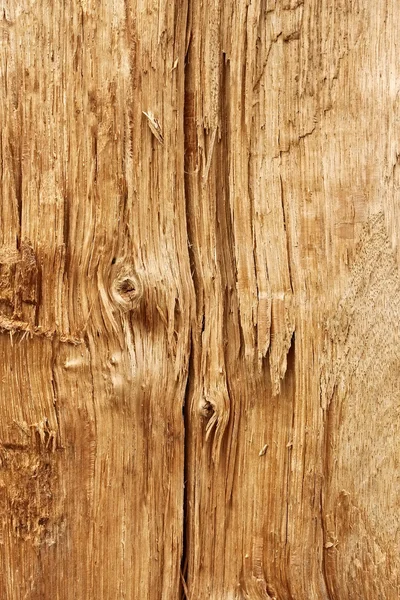 Nowe drewniane uszkodzony dziennik — Zdjęcie stockowe