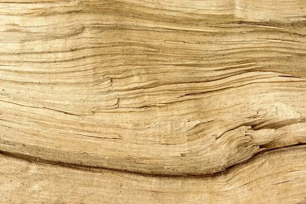 Broken log as a texture — Stock Photo, Image