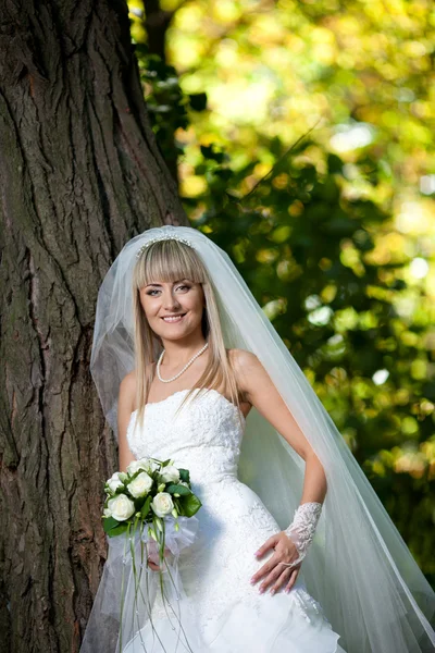 Uma noiva bonita no vestido de casamento branco . — Fotografia de Stock