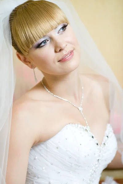 Okouzlující nevěsta závoj — Stock fotografie