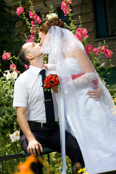 Sposa e sposo baci — Foto Stock