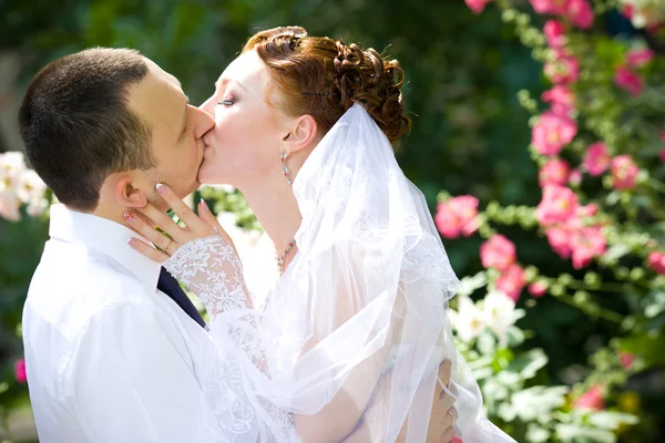 Bruid en bruidegom kussen — Stockfoto