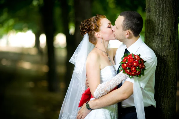 Bruid en bruidegom kussen — Stockfoto