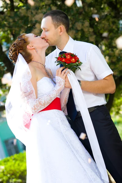 Bride and groom kissing — Stock Photo, Image