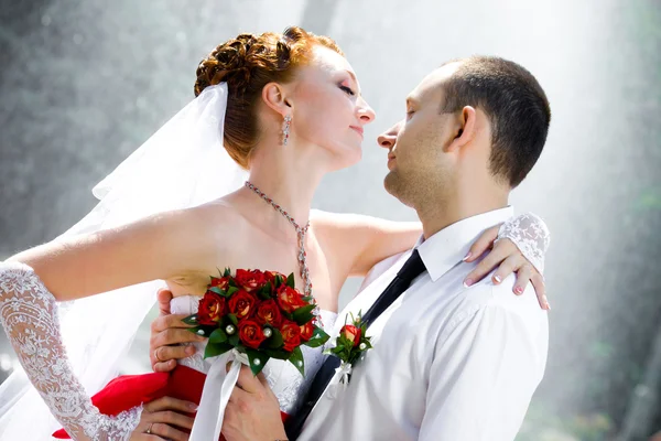 Bruden och brudgummen ständiga — Stockfoto