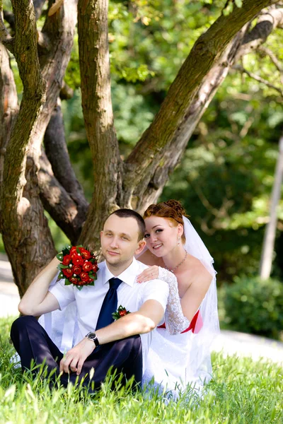 A vőlegény és a menyasszony a park portréja — Stock Fotó