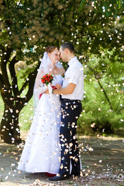 Bruid en bruidegom knuffelen — Stockfoto