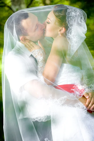 新郎新娘亲吻 — 图库照片