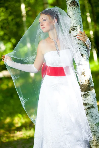 Vonzó kaukázusi menyasszony — Stock Fotó