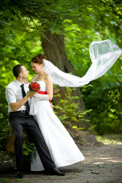 Bruid en bruidegom Stockfoto