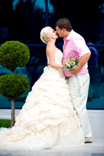 新娘和新郎用一束在性质上的吻 — 图库照片