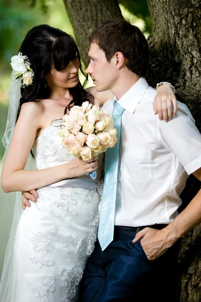 Young beautiful pair of newlyweds — Stock Photo, Image