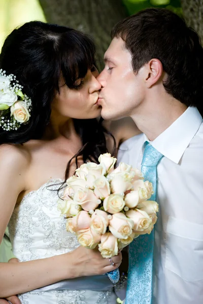 Młody piękny para nowożeńców — Zdjęcie stockowe