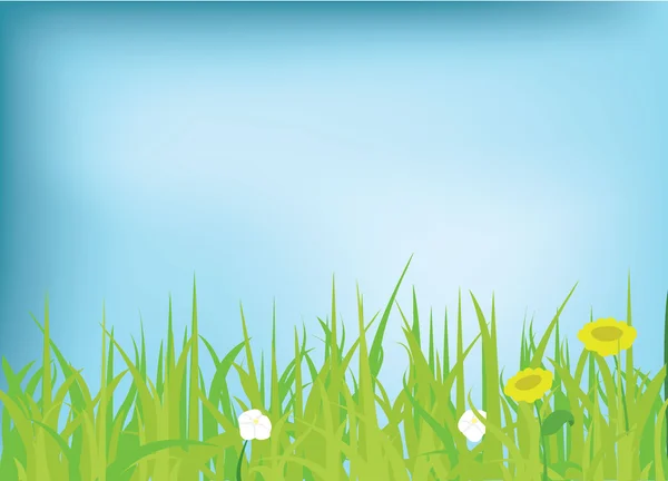 พื้นหลังหญ้าและดอกไม้ — ภาพเวกเตอร์สต็อก