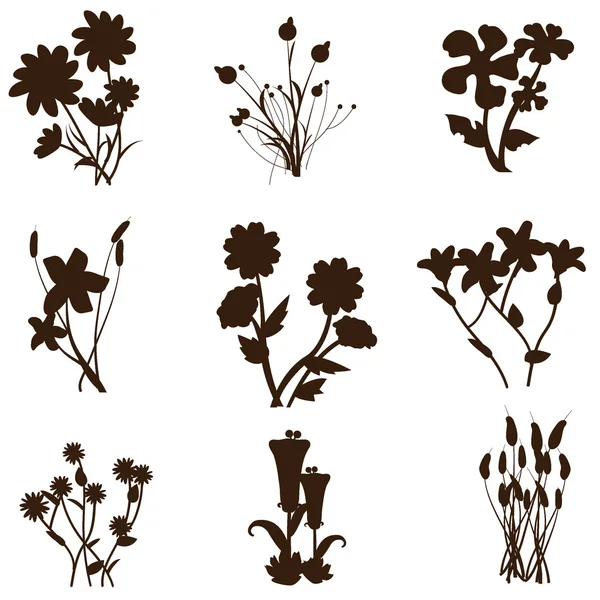 Flowers background silhouttes — Stock Vector