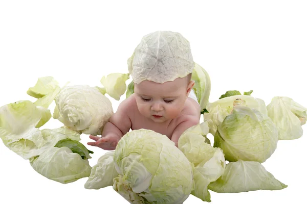stock image Baby in the cabbage