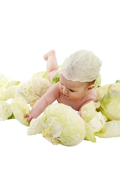 stock image Baby in the cabbage