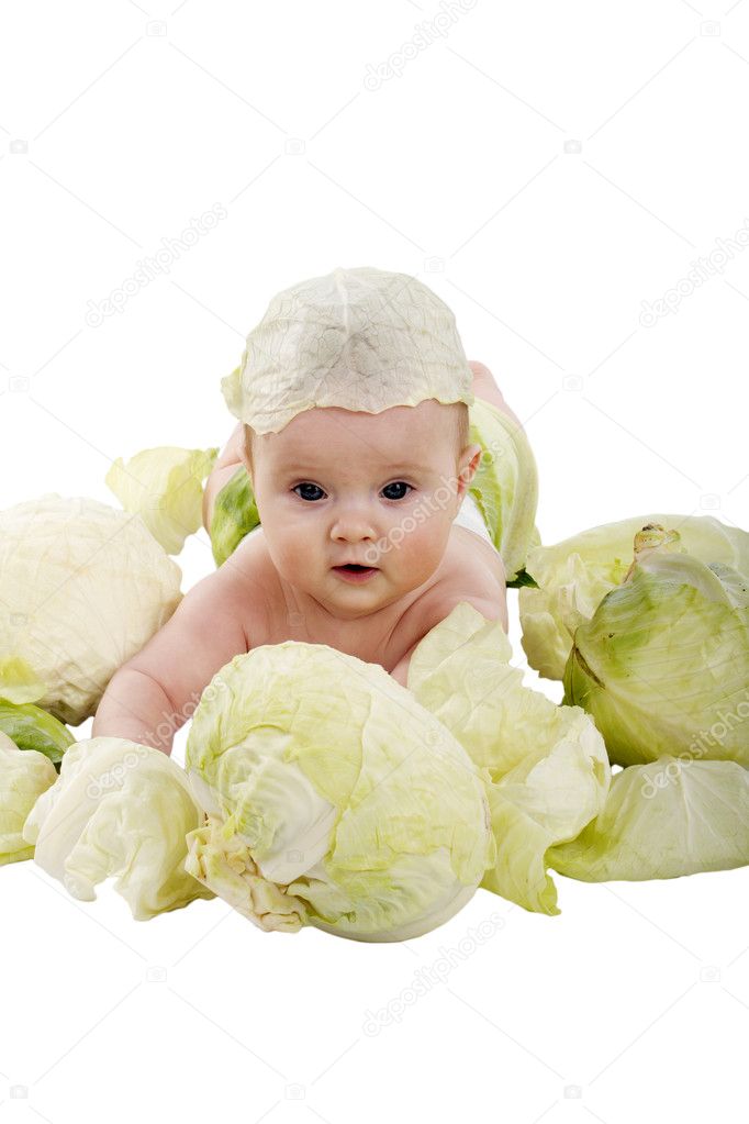 Bebe Dans Le Chou Image Libre De Droit Par Bioboy C