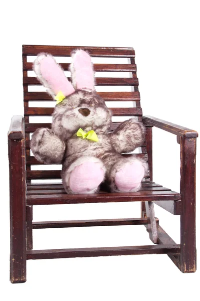 Деревянное кресло с кроликом на нем — стоковое фото