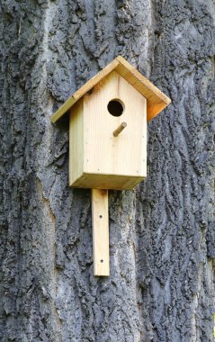 Birdhouse clipart