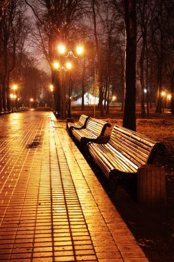 Mariinsky park at night clipart