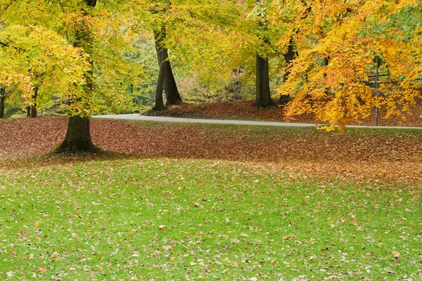 Autumnal park — Stock Photo, Image