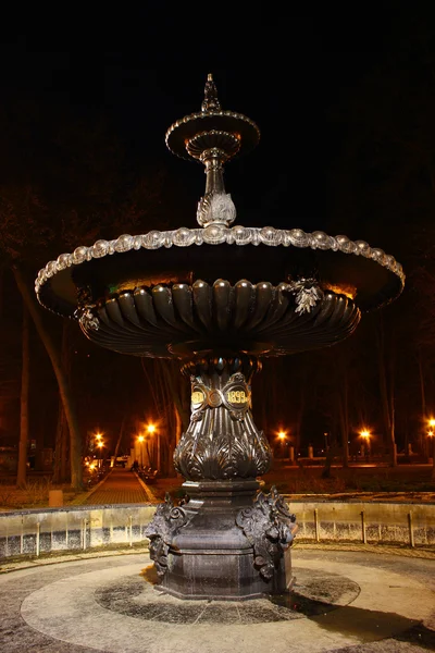 Fontana nel Parco Mariinsky — Foto Stock
